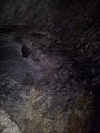 fkillineybeforeinternal 1265.jpg